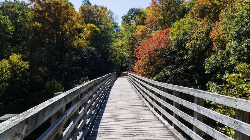 Wooden bridge in autumn forest, The Virginia Creeper National Recreation Trail, Abingdon, VA, USA