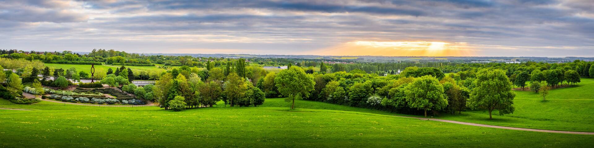 A lush green park with a variety of trees, a winding path, and a distant view of a city skyline under a cloudy sky.