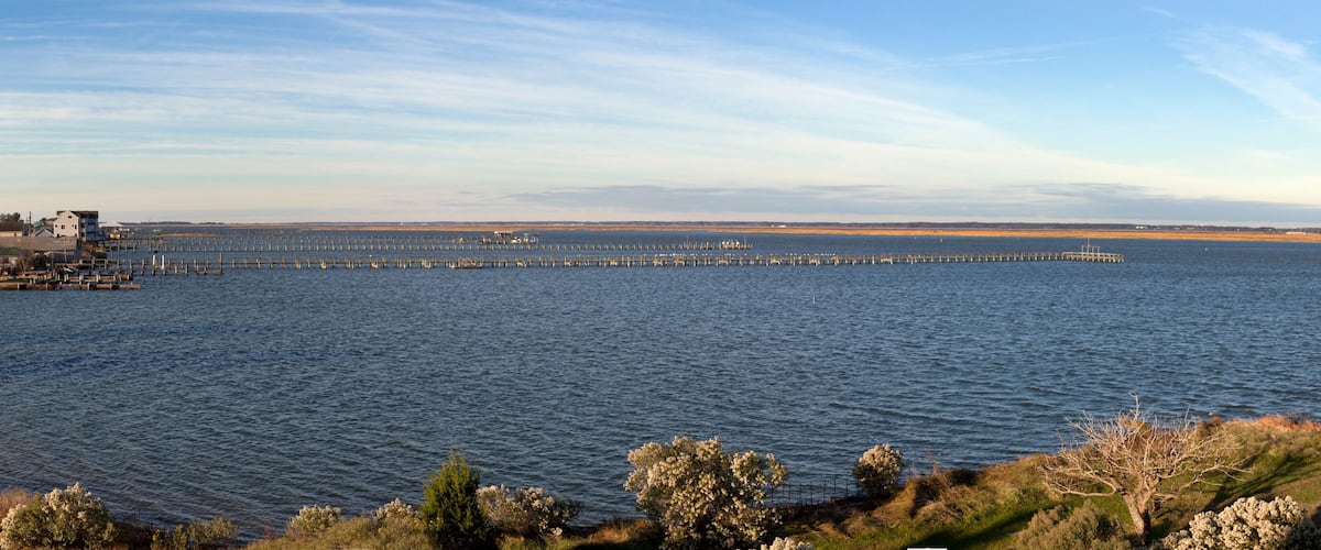 A coastal landscape with a pier extending into the water, surrounded by grassy areas and trees.