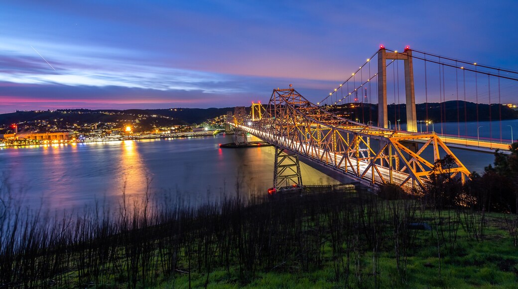 Alfred Zampa Memorial Bridge at Dawn