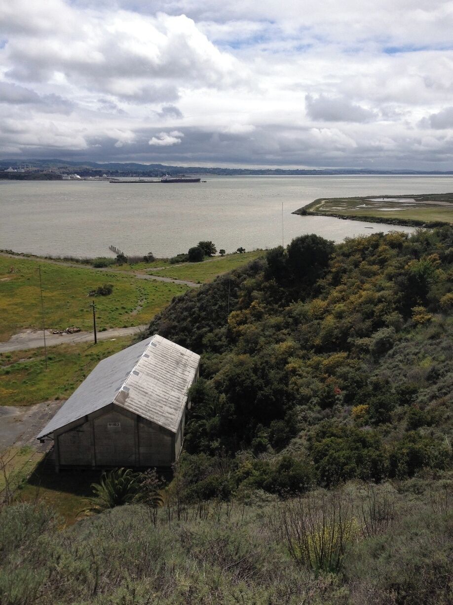 #TroverDetour - The Mare Island Shoreline Heritage Preserve is a classic detour - you almost get lost if you're trying to find it, or you find it after you've gotten lost - but it is a gem!  Spend hours walking trails across the preserve and up to the top for spectacular views across San Pablo Bay in every direction.  Nesting osprey, native plants, migrating birds of every feather call this decommissioned naval base home.  Don't miss the Educational Center, housed in an artillery magazine.  Have tea! Wander the exhibits and learn the history of this base that pre-dates the Civil War.