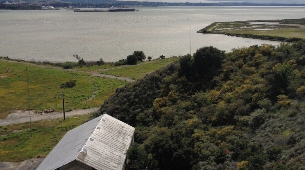 #TroverDetour - The Mare Island Shoreline Heritage Preserve is a classic detour - you almost get lost if you're trying to find it, or you find it after you've gotten lost - but it is a gem! Spend hours walking trails across the preserve and up to the top for spectacular views across San Pablo Bay in every direction. Nesting osprey, native plants, migrating birds of every feather call this decommissioned naval base home. Don't miss the Educational Center, housed in an artillery magazine. Have tea! Wander the exhibits and learn the history of this base that pre-dates the Civil War.