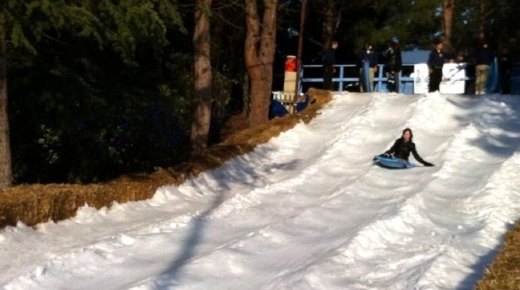Snow sledding... in Vallejo?!