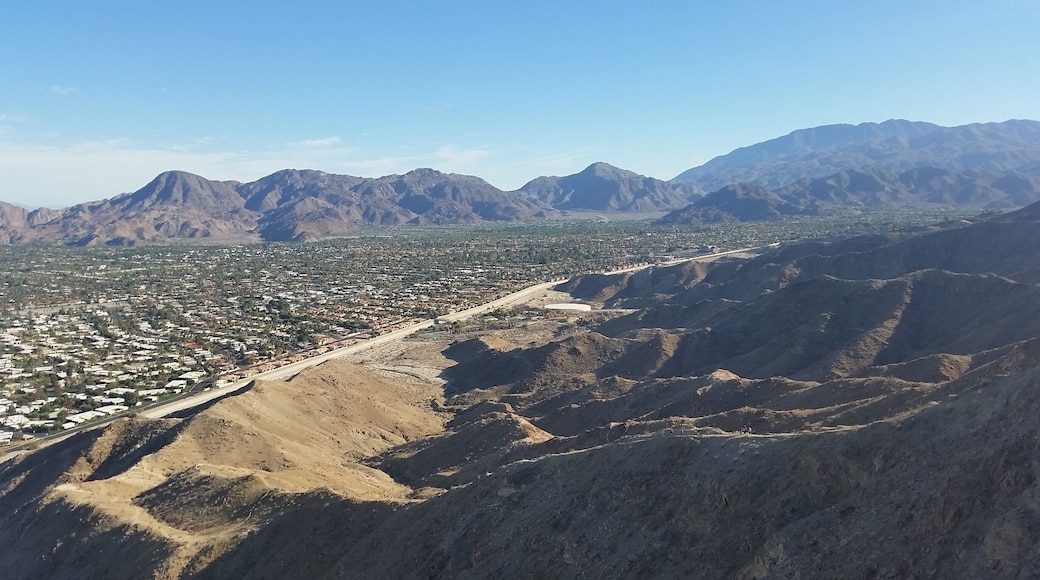 View from the top of the Bump and Grind Trail. Park behind Target or Mor Furniture in Palm Desert to reach the start of this challenging loop.
#hiking #scenic #view #UStravel #travel #California #southwest #desert