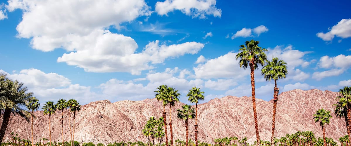 A desert landscape with tall palm trees and a mountain range under a blue sky with clouds.