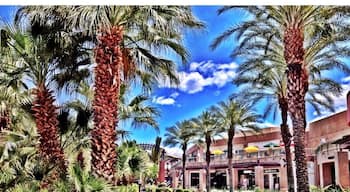 Beautiful Fountain at the Gardens...