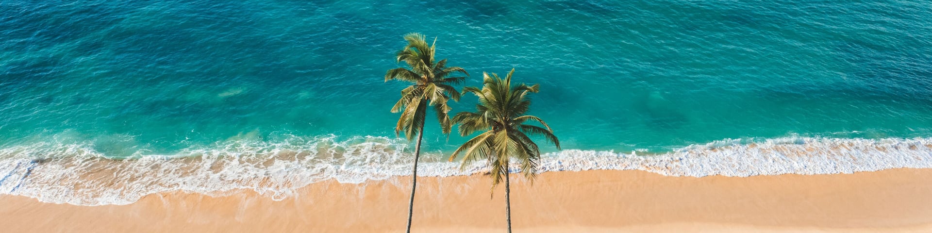 Stunning aerial view of a tropical beach with two palm trees standing on golden sand. Vibrant turquoise ocean waves meet the shore, creating a serene paradise vibe. Ideal for travel themes.
