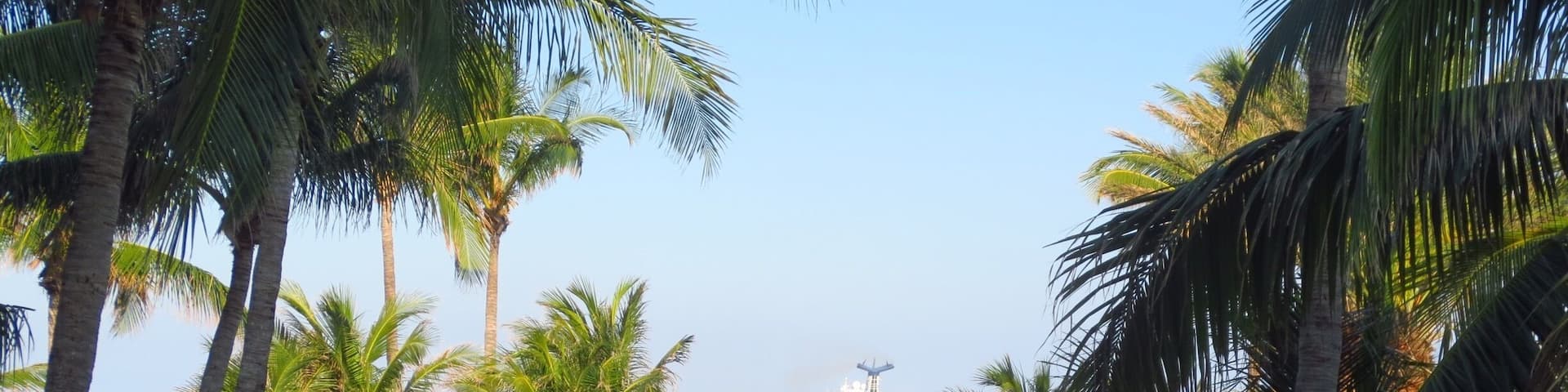 Great Resort on Singer Island in Palm Beach. You can see the Cruise Ships leaving on many afternoons.