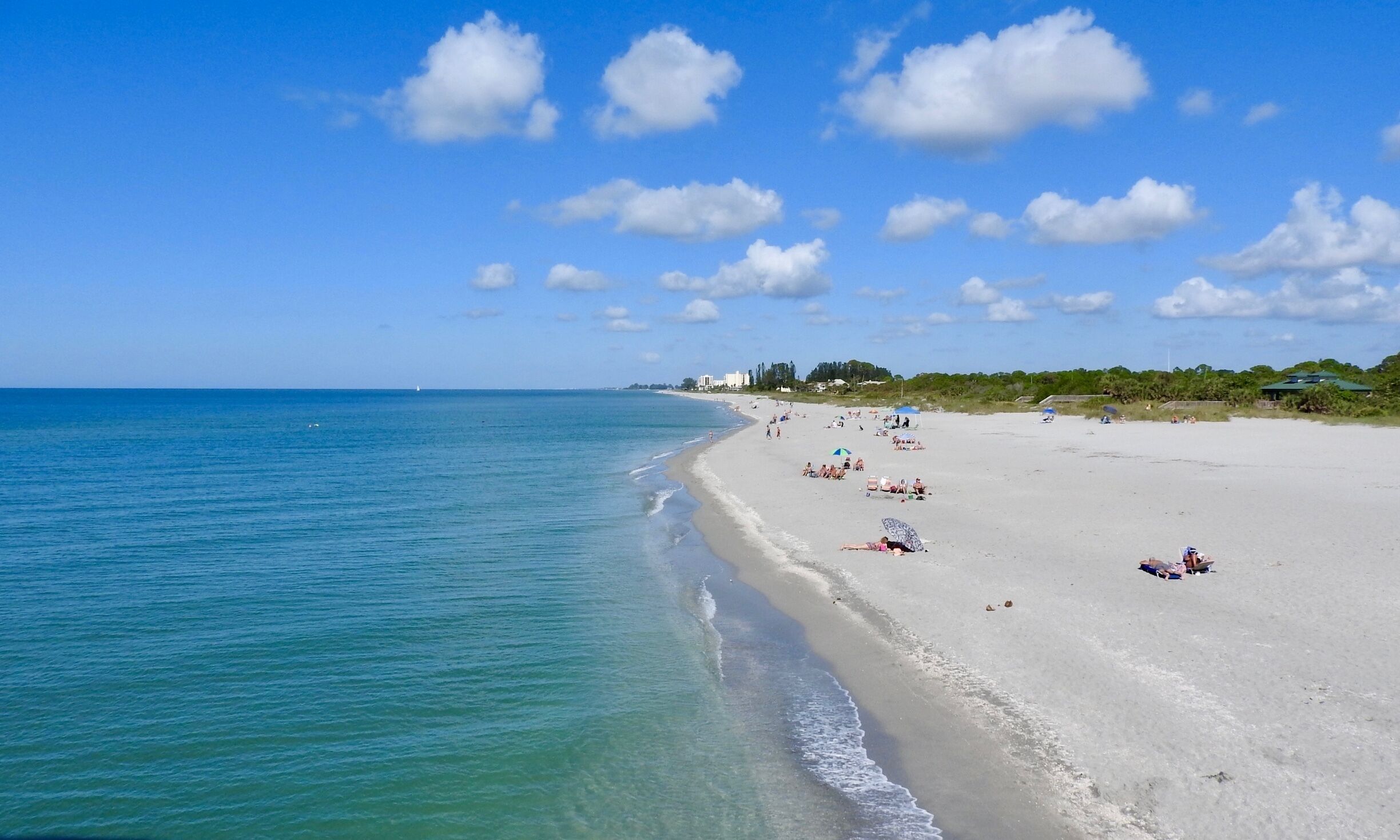Stunning view from the Venice Fishing Pier in Venice, Florida.

#BeachTips
#LikeALocal
