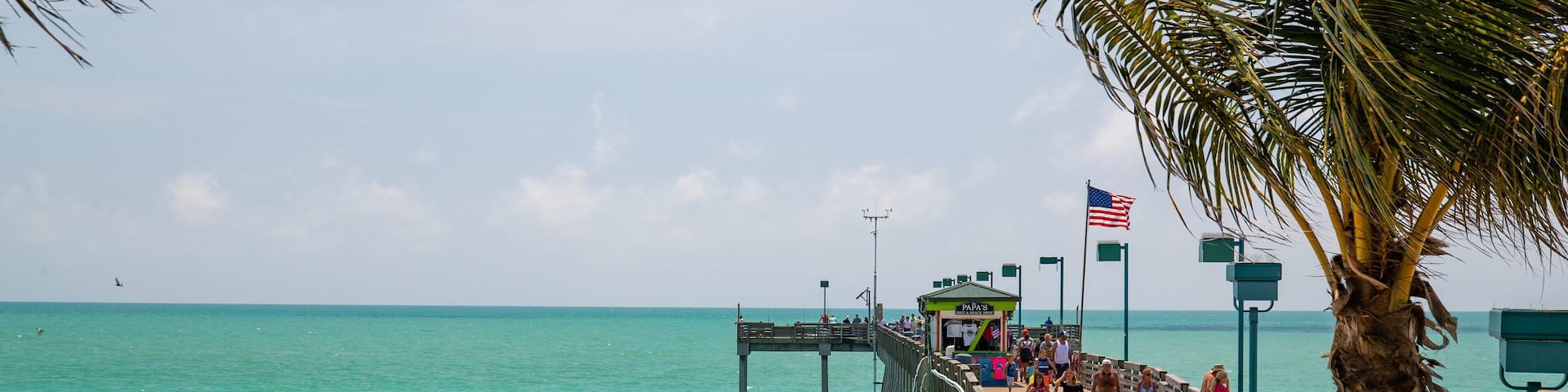 Venice showing tropical scenes, general coastal views and a sandy beach