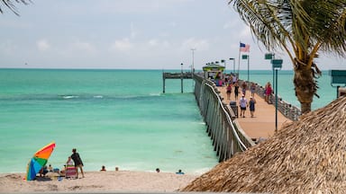 Venice showing tropical scenes, general coastal views and a sandy beach