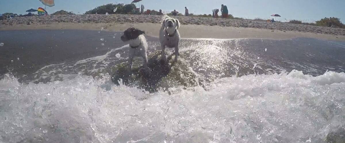 Coolest beach, ever.....