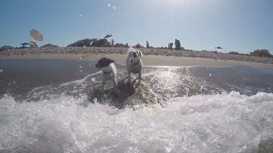 Coolest beach, ever.....