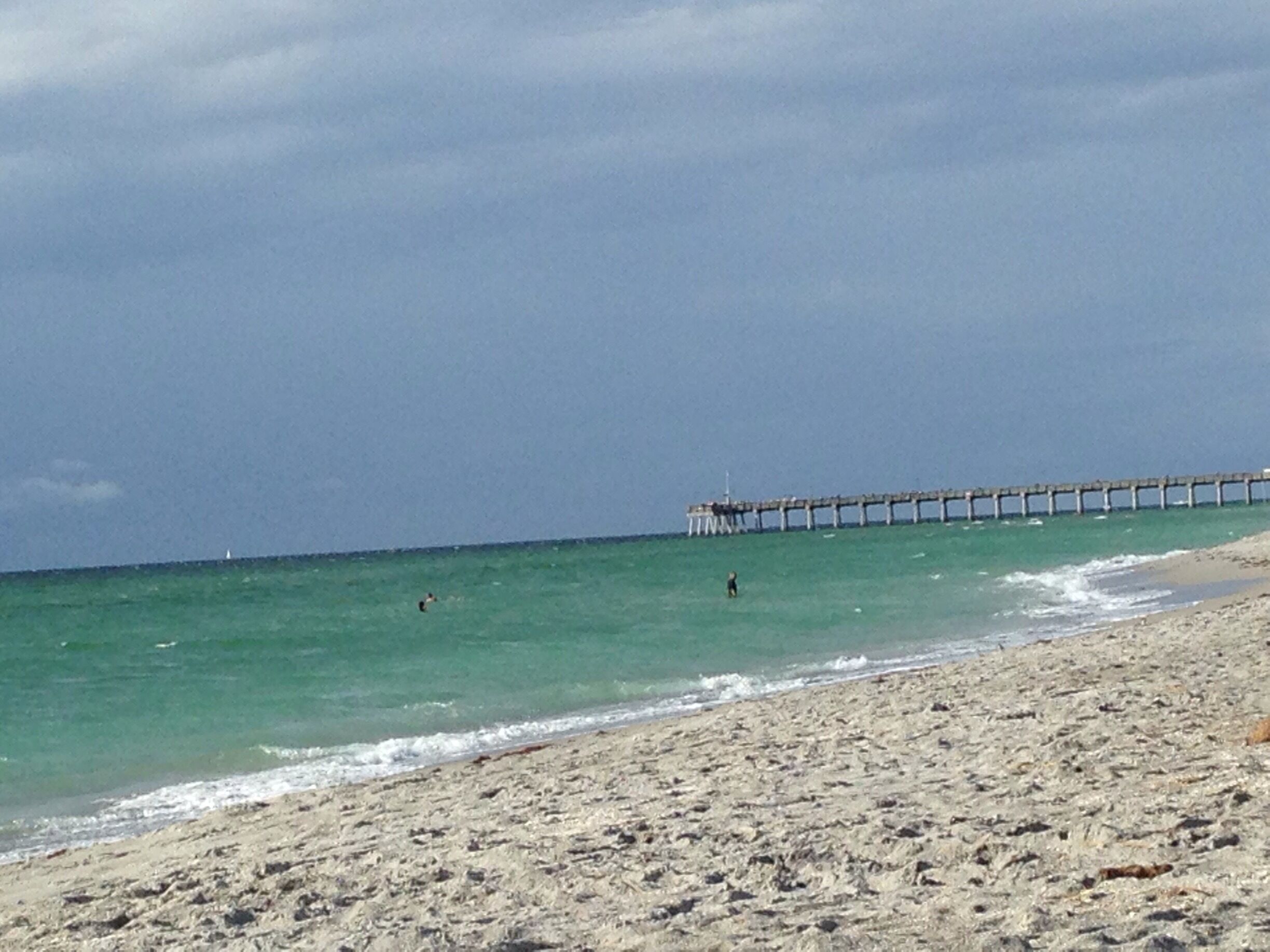 Leisurely Sunday afternoon at the one of the eight beaches on Gulf of Mexico in Venice, Florida.
Thousands of fish were jumping in a feeding frenzy with in 100 feet from the beach. Anglers were having fun casting into the pot of feeding frenzy.