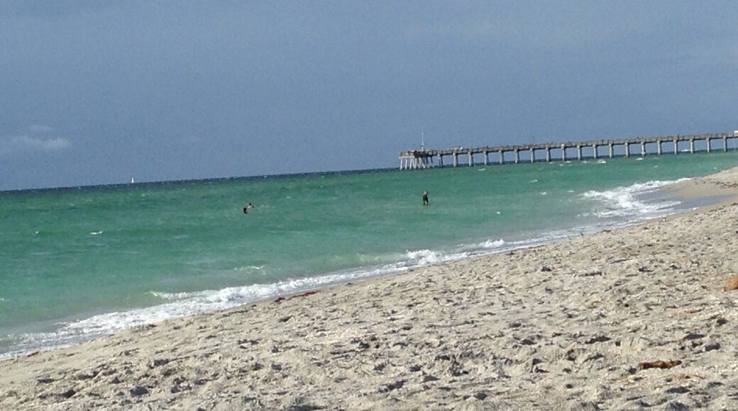 Leisurely Sunday afternoon at the one of the eight beaches on Gulf of Mexico in Venice, Florida.
Thousands of fish were jumping in a feeding frenzy with in 100 feet from the beach. Anglers were having fun casting into the pot of feeding frenzy.