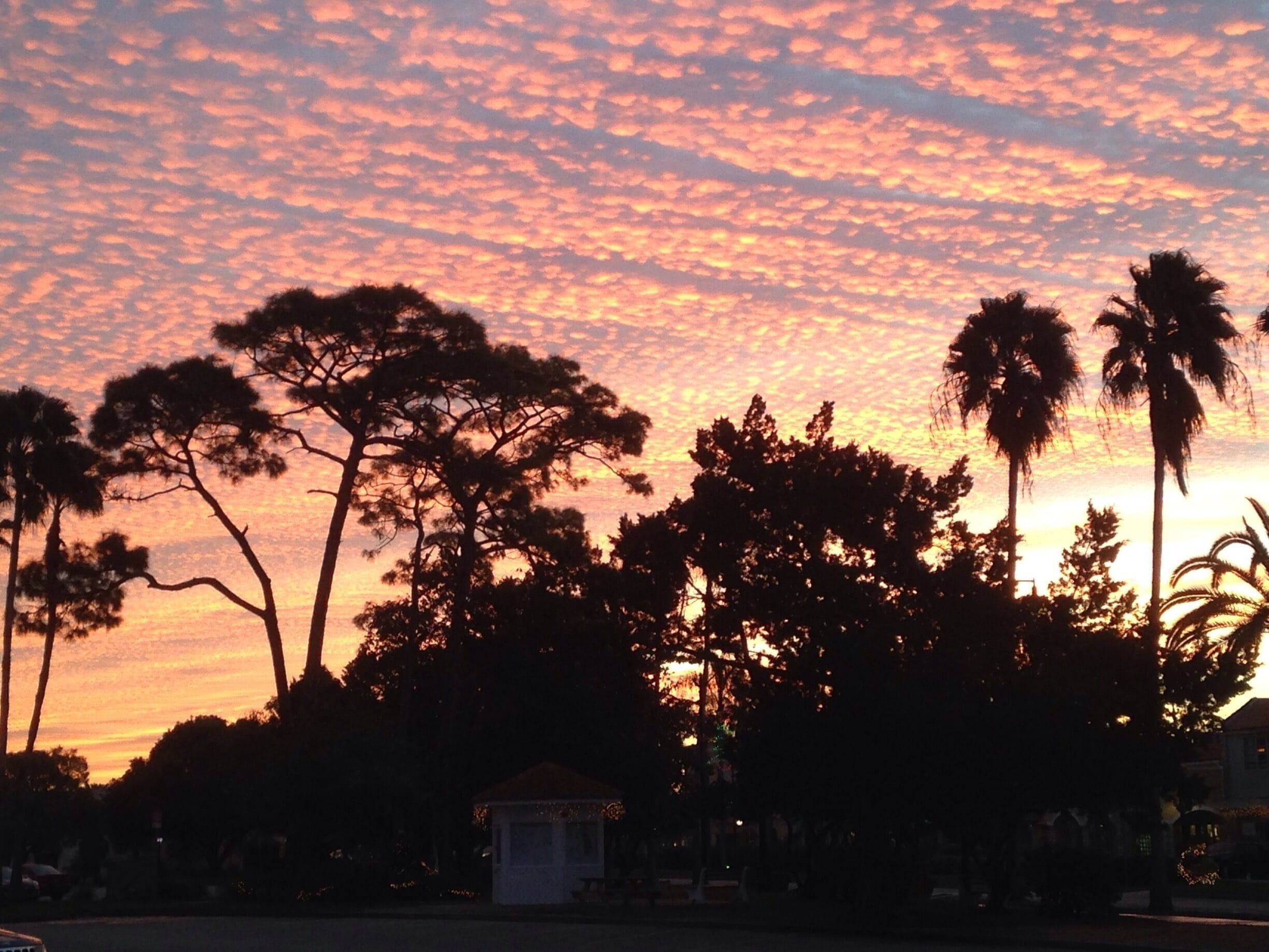 The dawn after my 60 minute workout with the V Group at Centennial Park, Venice. The last several sunrises and sunsets have extraordinary!!!