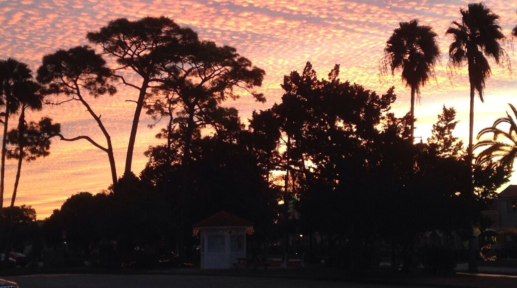 The dawn after my 60 minute workout with the V Group at Centennial Park, Venice. The last several sunrises and sunsets have extraordinary!!!