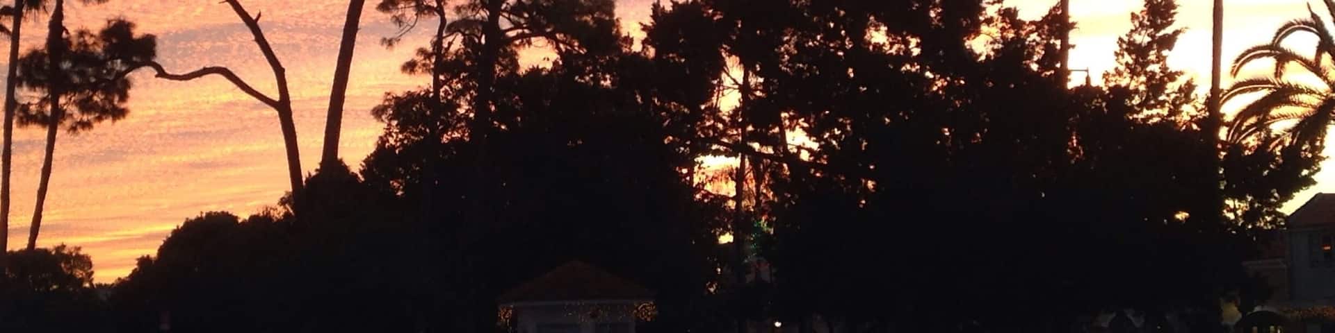 The dawn after my 60 minute workout with the V Group at Centennial Park, Venice. The last several sunrises and sunsets have extraordinary!!!