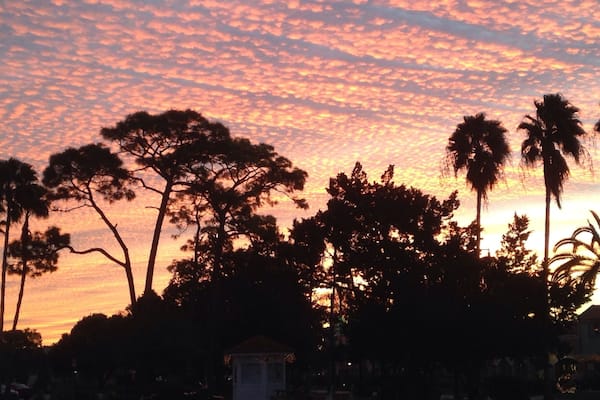 The dawn after my 60 minute workout with the V Group at Centennial Park, Venice. The last several sunrises and sunsets have extraordinary!!!