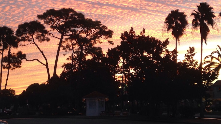 The dawn after my 60 minute workout with the V Group at Centennial Park, Venice. The last several sunrises and sunsets have extraordinary!!!