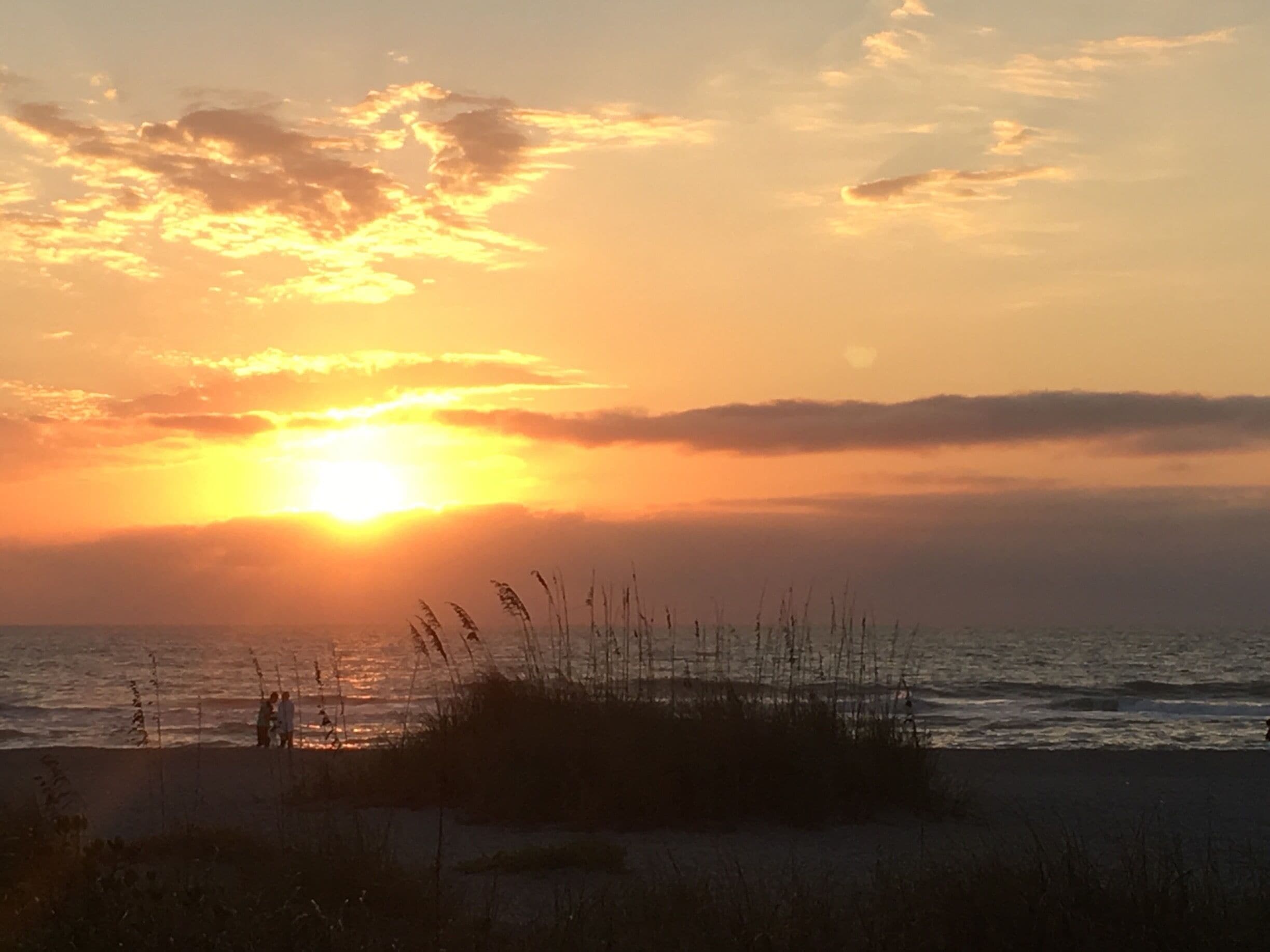 Another awesome sunset at one of  the  8 Venice beaches located between Tampa and Ft. Myers on the west coast of Florida.