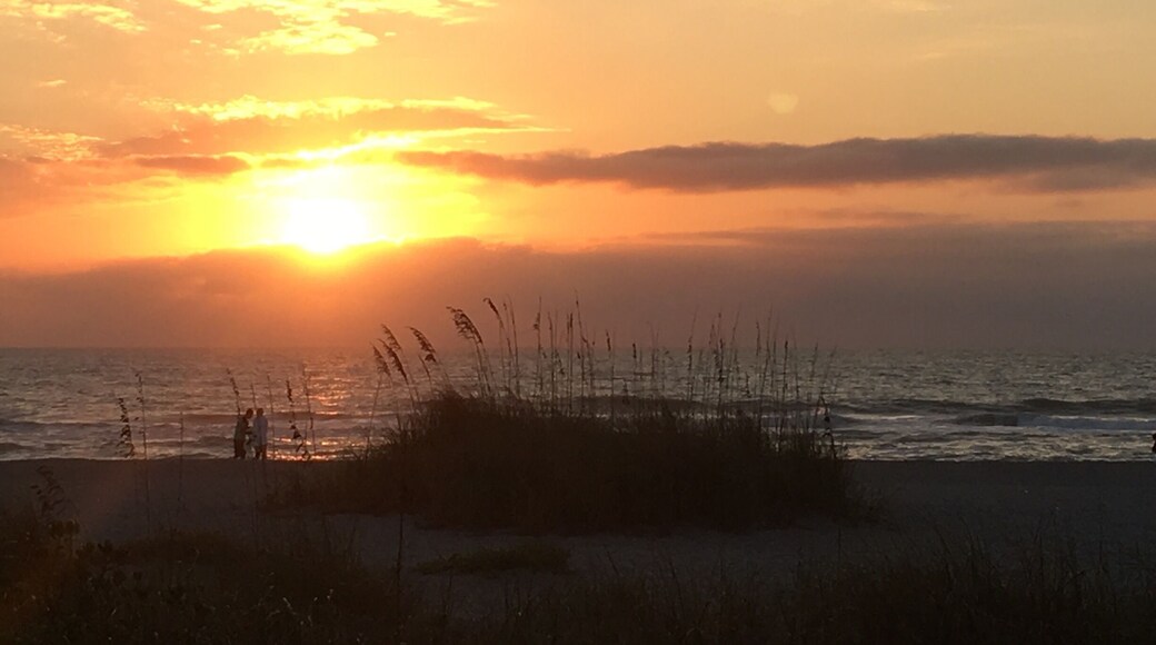 Another awesome sunset at one of the 8 Venice beaches located between Tampa and Ft. Myers on the west coast of Florida.
