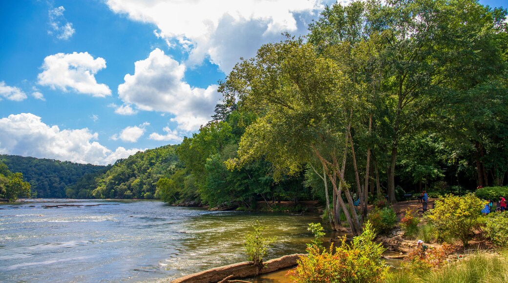 a gorgeous summer landscape along the Chattahoochee river with flowing river water surrounded by lush green trees, grass and plants with a gorgeous blue sky and clouds at Walton On The Chattahoochee