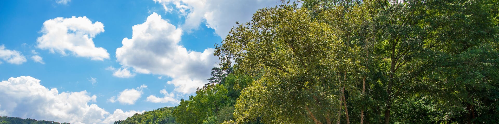 a gorgeous summer landscape along the Chattahoochee river with flowing river water surrounded by lush green trees, grass and plants with a gorgeous blue sky and clouds at Walton On The Chattahoochee
