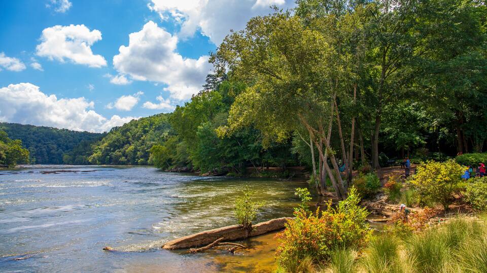 a gorgeous summer landscape along the Chattahoochee river with flowing river water surrounded by lush green trees, grass and plants with a gorgeous blue sky and clouds at Walton On The Chattahoochee
