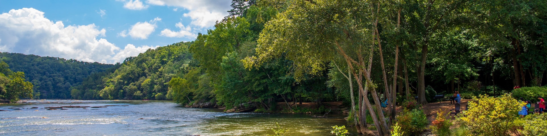 a gorgeous summer landscape along the Chattahoochee river with flowing river water surrounded by lush green trees, grass and plants with a gorgeous blue sky and clouds at Walton On The Chattahoochee