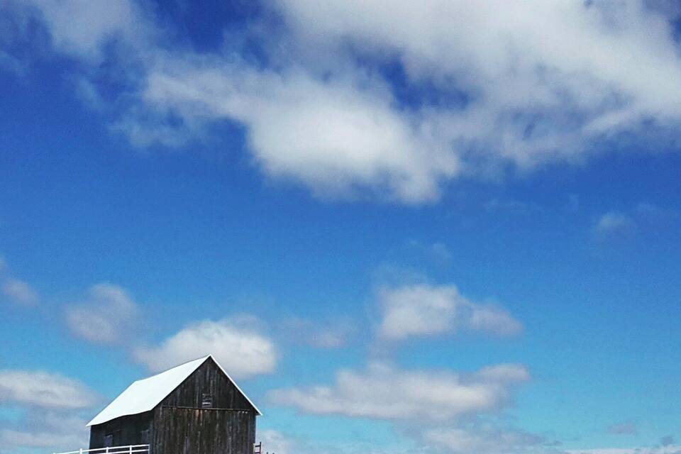 A snow-covered landscape with a wooden barn and a white fence.