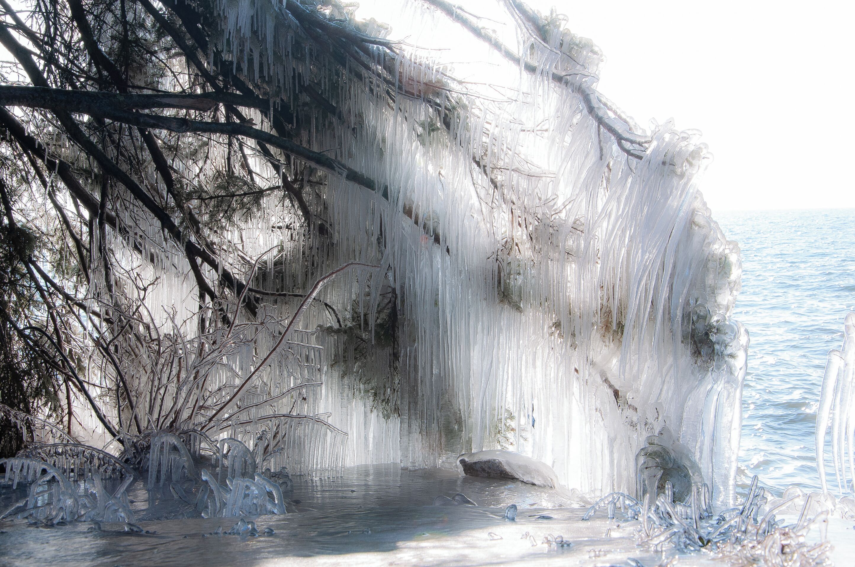 A frozen waterfall with icicles hanging from the branches.