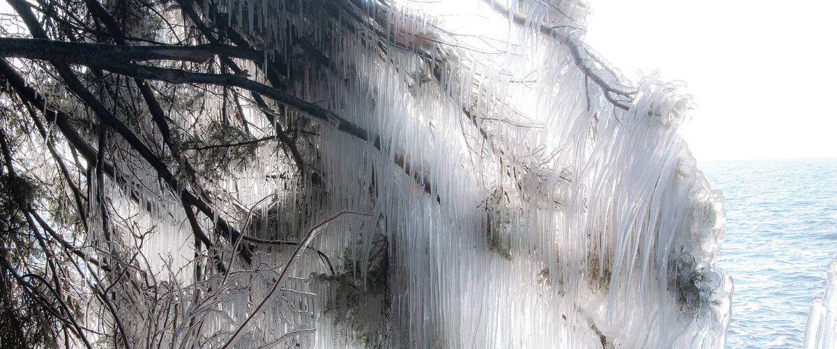 A frozen waterfall with icicles hanging from the branches.
