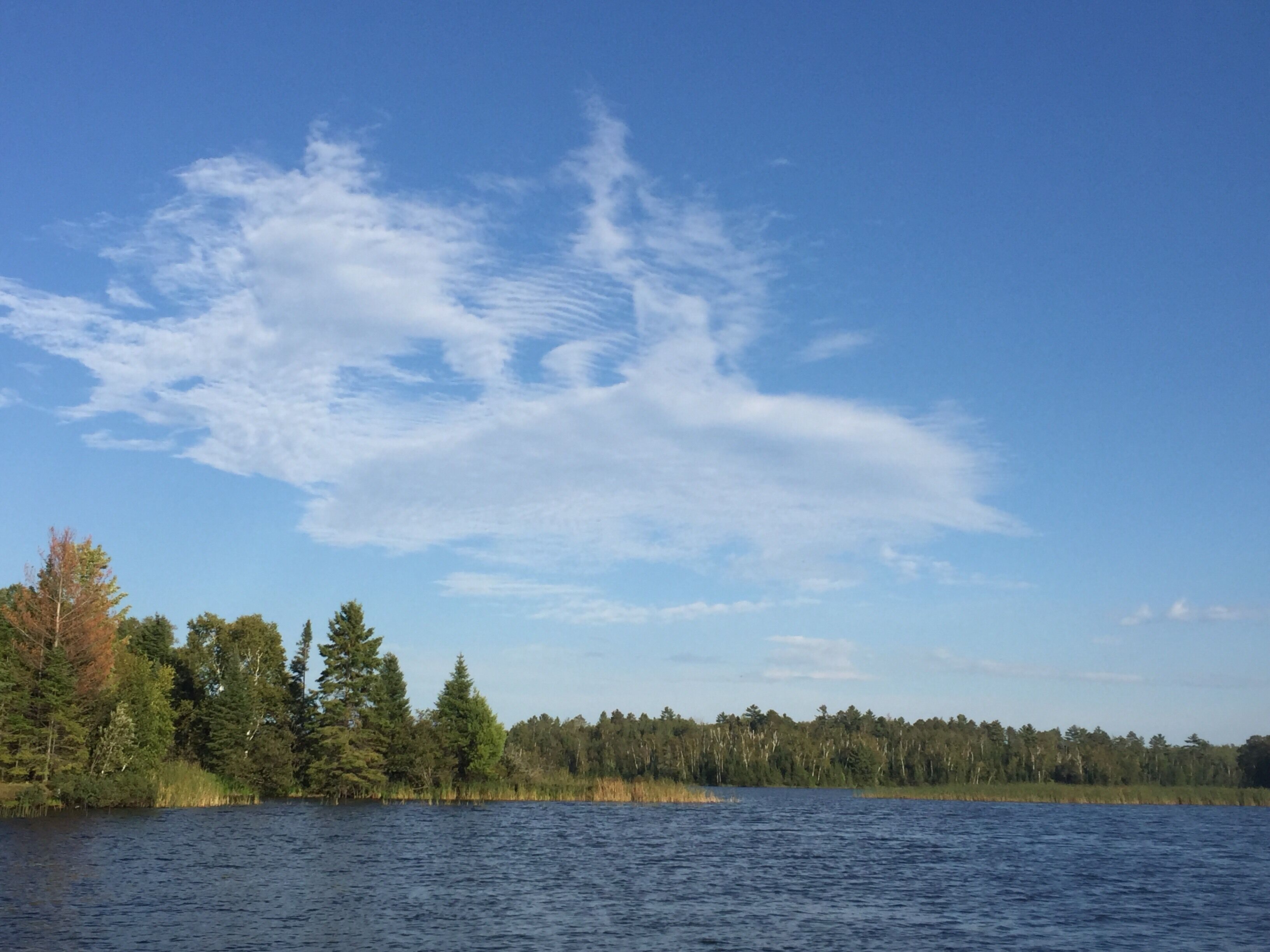 While fishing I couldn’t help but notice the dolphin in the sky.