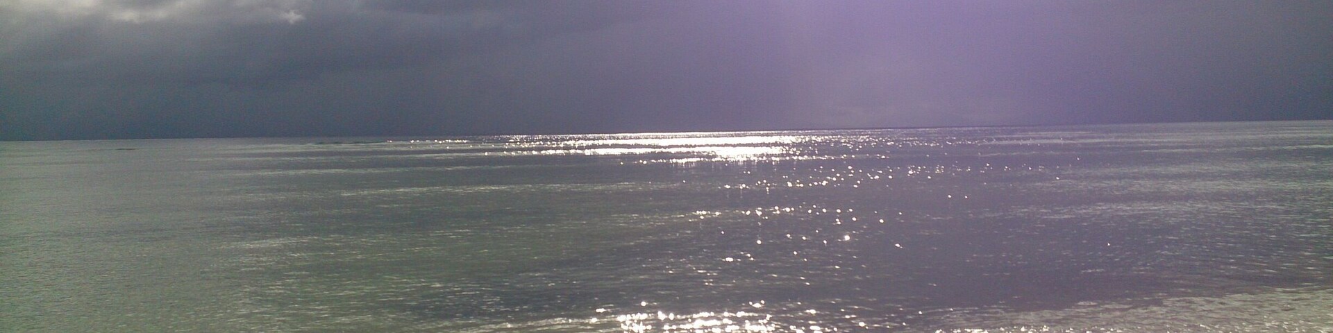 Shining shimmering splendid....