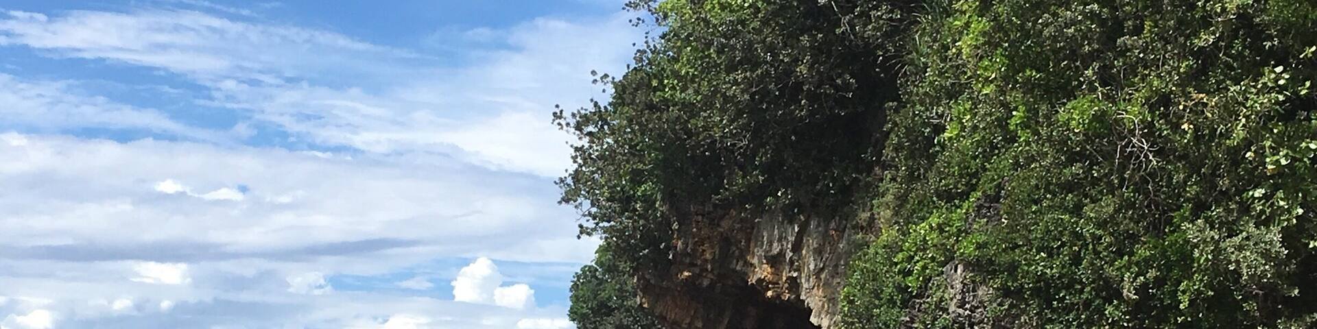 A coastal landscape with clear turquoise waters, a rocky cliff with dense vegetation, and a partly cloudy sky.