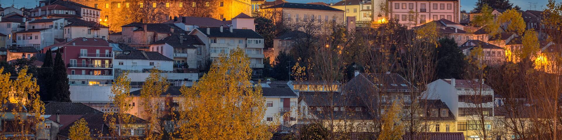 A historic cityscape with a prominent castle and church, surrounded by residential buildings and autumn foliage.