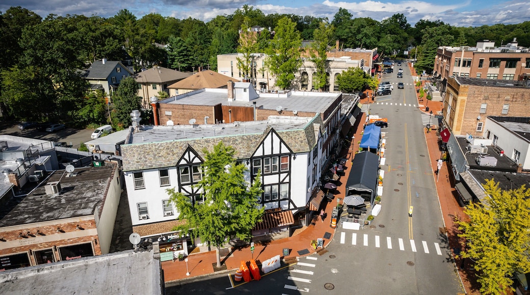 Aerial Landscape of Maplewood New Jersey