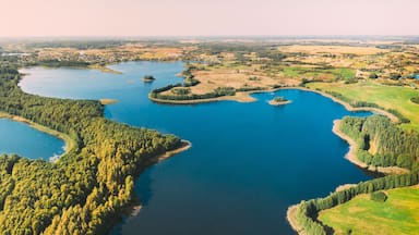 Braslaw District, Vitebsk Voblast, Belarus. Aerial View Of Nedrovo Lake, Green Forest Landscape. Top View Of Beautiful European Nature From High Attitude. Bird's Eye View. Famous Lakes. Panorama