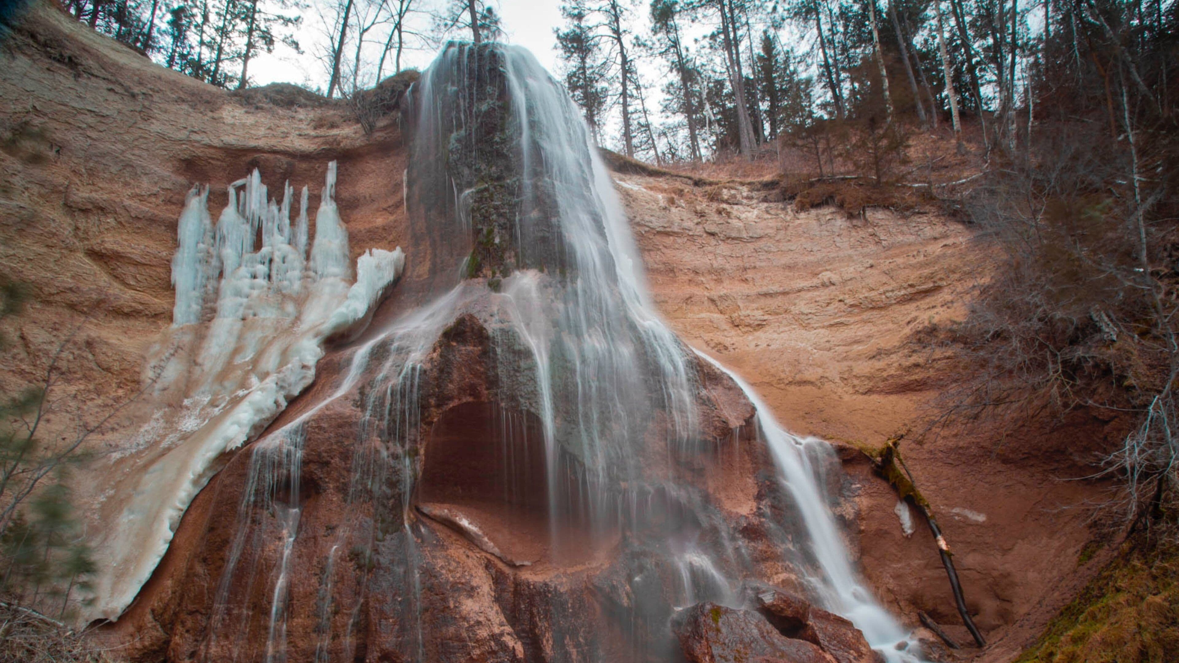 Valentine featuring forests and a cascade