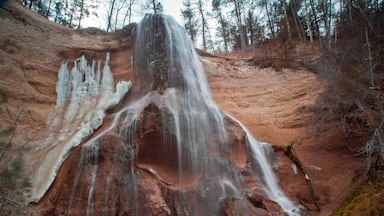 Una cascada se precipita por un acantilado rocoso rodeado de árboles dispersos.