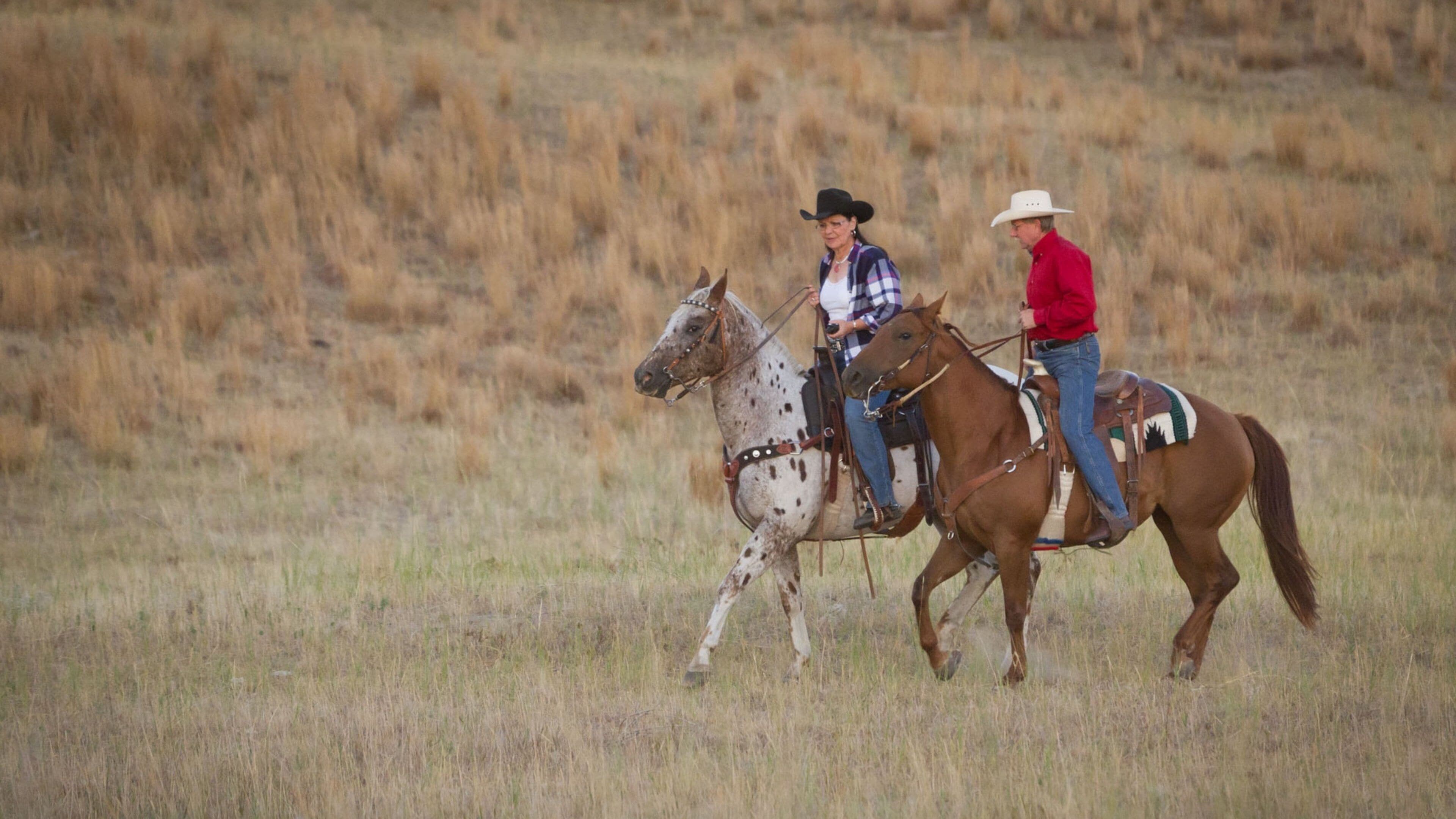 Valentine featuring horse riding as well as a couple