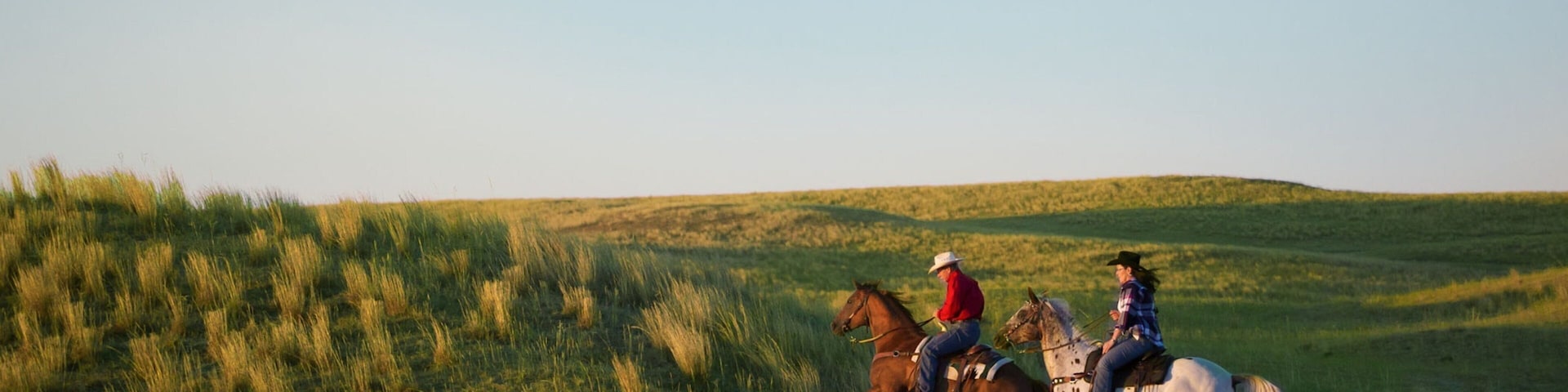 Valentine showing horse riding and tranquil scenes as well as a couple