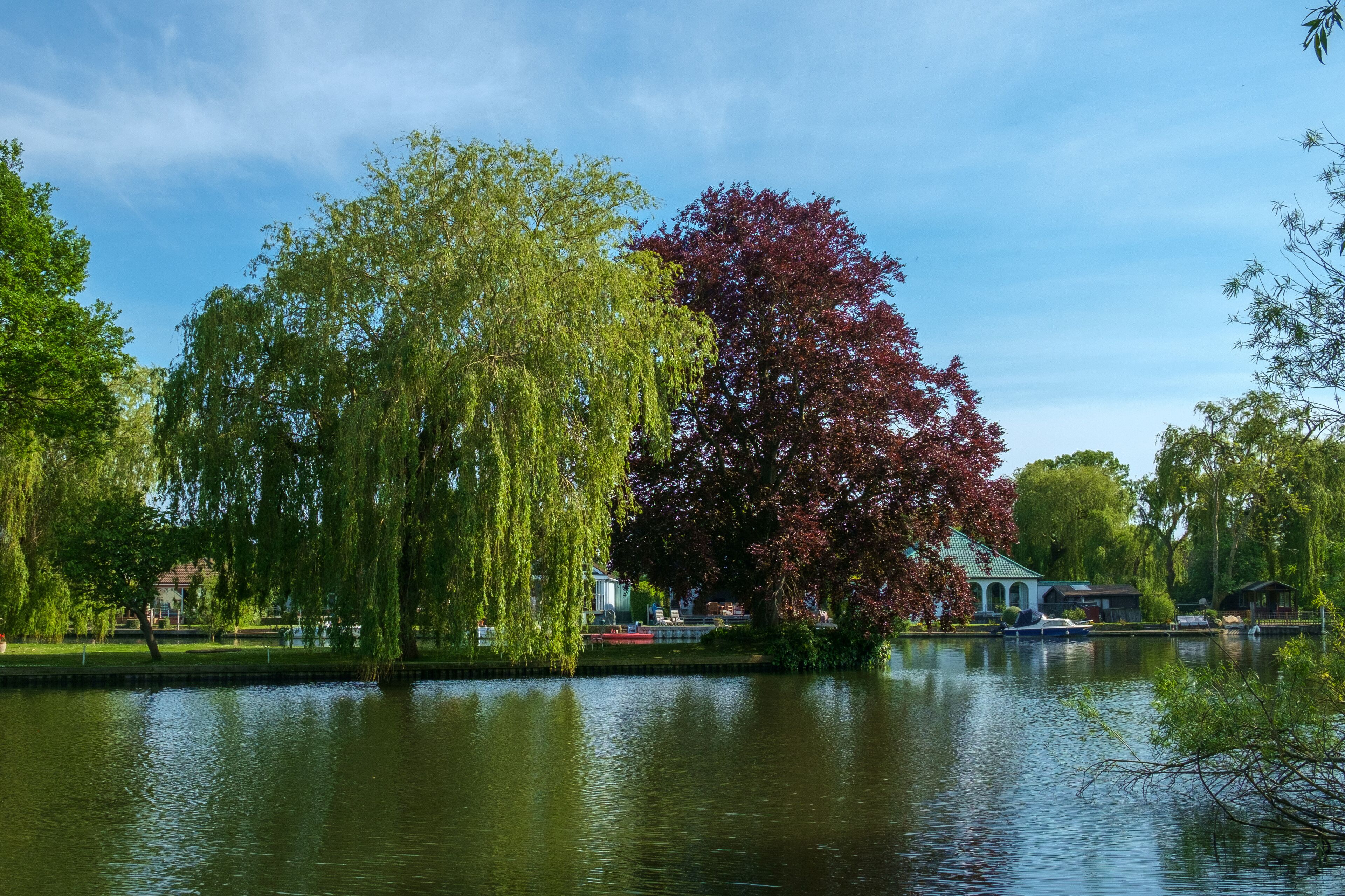 The River Thames, Shepperton, Surrey, UK.