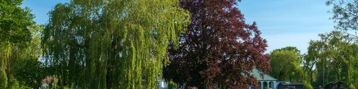 The River Thames, Shepperton, Surrey, UK.