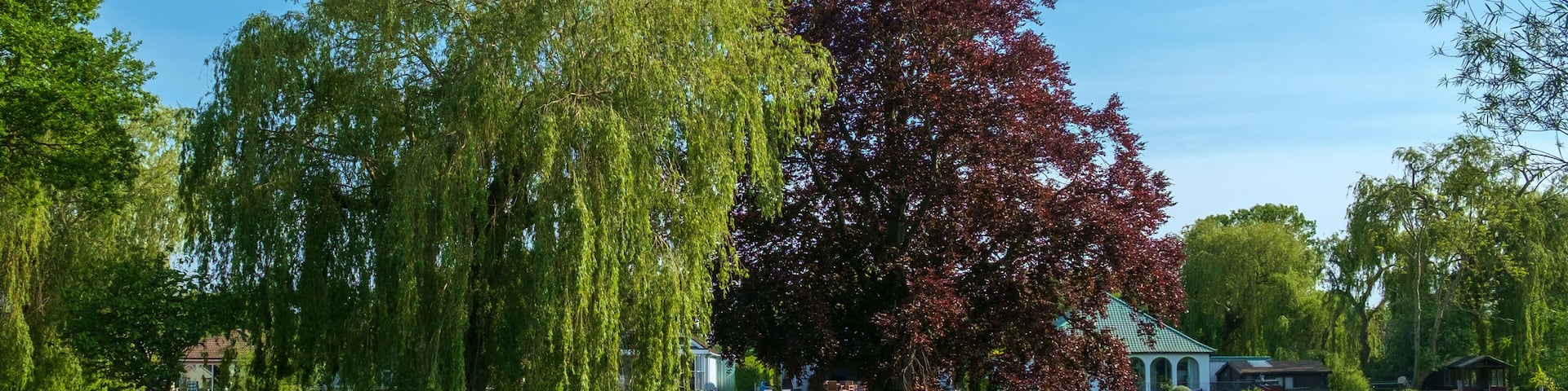 The River Thames, Shepperton, Surrey, UK.