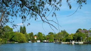 The River Thames, Shepperton, Surrey, UK.
