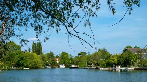 The River Thames, Shepperton, Surrey, UK.