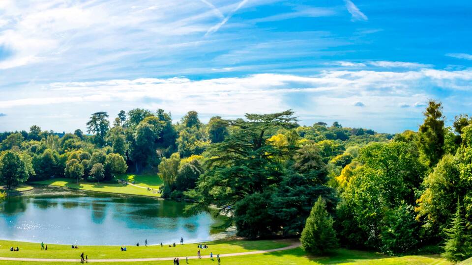 A serene park with a lake, surrounded by dense trees and a clear sky.