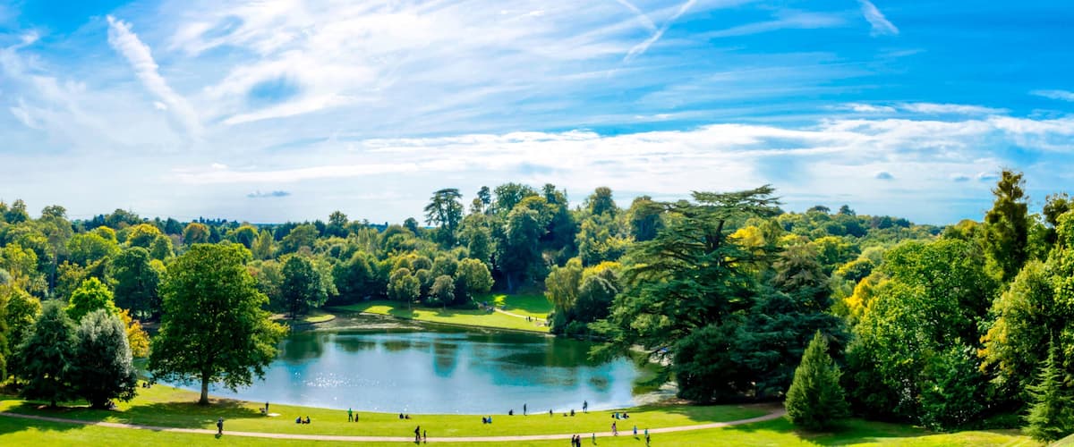 A serene park with a lake, surrounded by dense trees and a clear sky.